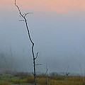 Solitary