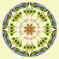 Mother's Day Mandala 1